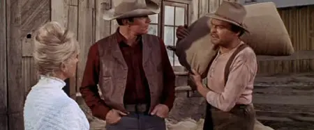 The Ballad of Josie (1967)