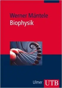 Biophysik