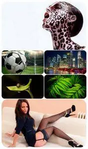 Beautiful Mixed Wallpapers Pack 650