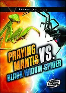 Praying Mantis vs. Black Widow Spider