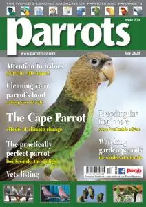 Parrots - July 2020