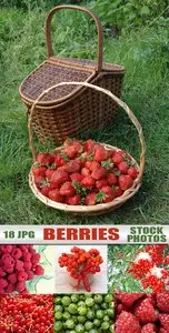 Berries