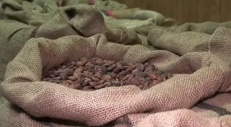 (Fr5) Chocolat, la poule aux œufs d'or (2014)