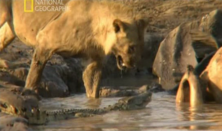 Valley of The Golden Baboon (2004)