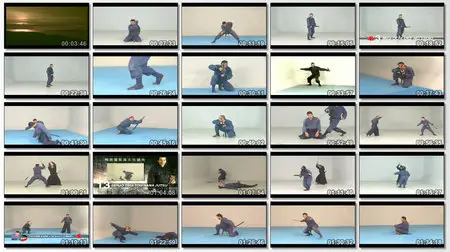 Japan Ninjutsu Shinobiken