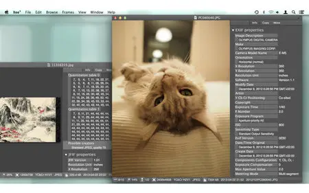 Agren Xee v3.3 Mac OS X
