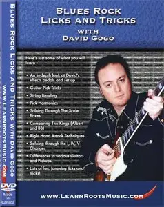 Blues Rock Licks and Tricks with David Gogo