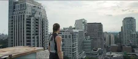 Contracts (2019)