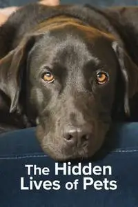 The Hidden Lives of Pets S01E01