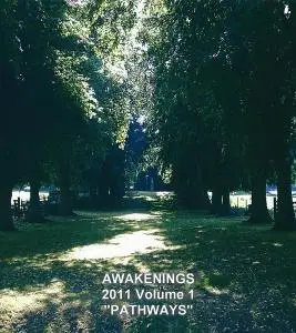 V.A. - Awakenings 2011 Vol. 1-1.5 (2011)
