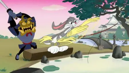 Looney Tunes Cartoons S05E13