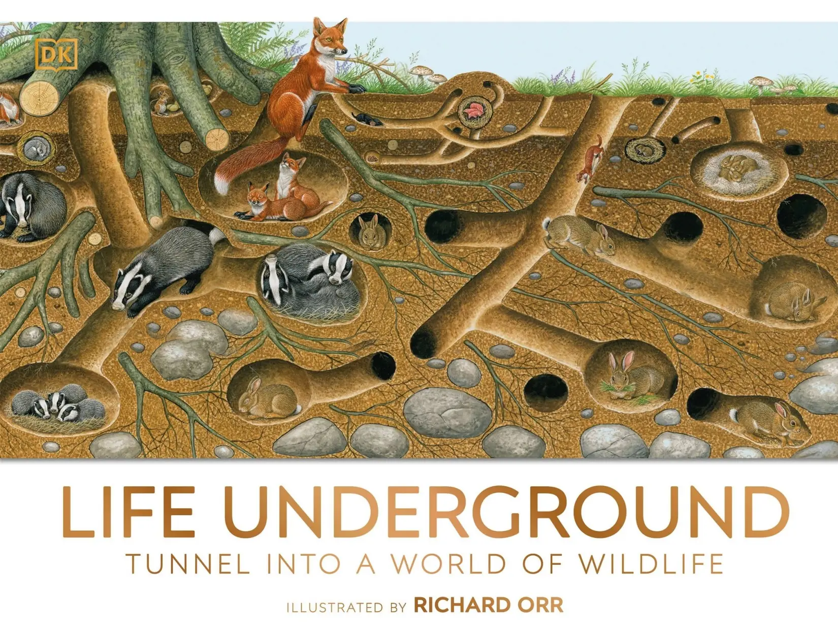 Life Underground: Tunnel into a World of Wildlife (DK Panorama)