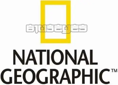 National Geographic - My Music Brain [2008]