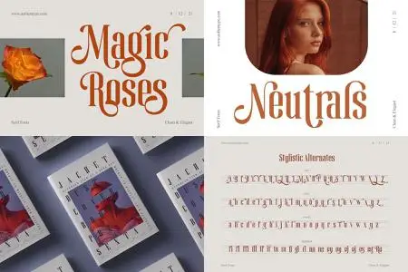 Magic Roses - Serif Clean Elegant Font