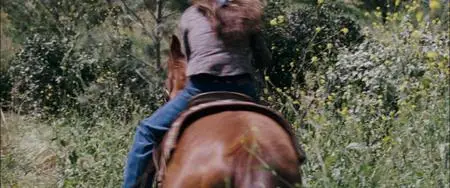 Flicka (2006)