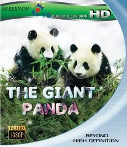 The Giant Panda (2010)