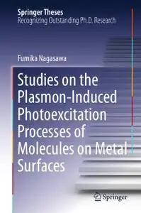 Studies on the Plasmon-Induced Photoexcitation Processes of Molecules on Metal Surfaces