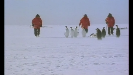 BBC Horizon - Antarctica (All 3 Episodes) (1997)