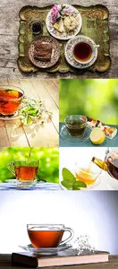 Stock: Tea