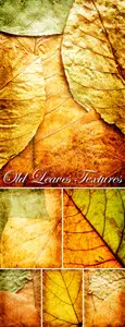 Stock Photo - Old Leaves Textures