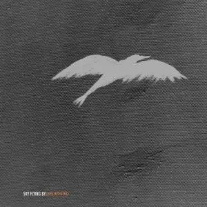 Sky Flying By - (Re) Routed (2018)
