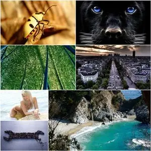 Collection wallpapers №84