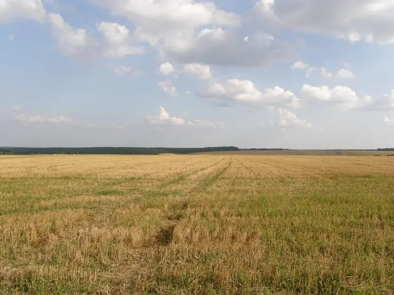 Земля Сельхозназначения Купить В Ленинградской