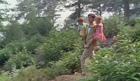 Le bonheur / Happiness (1965)
