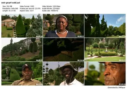 A Man Named Pearl (2006)