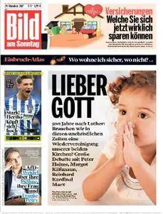 Bild am Sonntag - 29. Oktober 2017