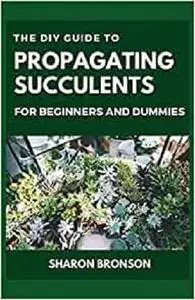 The DIY Guide To Propagating Succulents For Beginners and Dummies