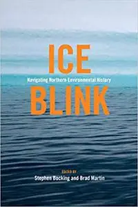 Ice Blink: Navigating Northern Environmental History