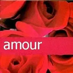 V.A. - Amour - (2003)