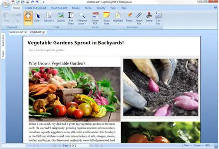 Lightning PDF Professional 7.0.1317.0