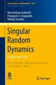 Singular Random Dynamics: Cetraro, Italy 2016 (Repost)