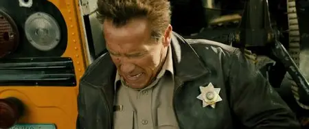 The Last Stand (2013)