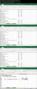 Financial Analysis in Excel: Debt Management Ratios