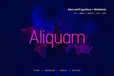 Aliquam - Modern Typeface + WebFonts