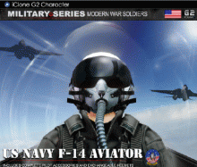Iclone US Navy F-14 Aviator