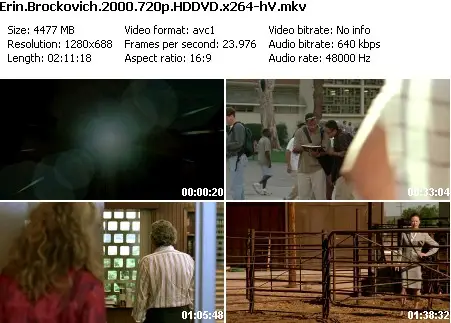 Erin Brockovich (2000)