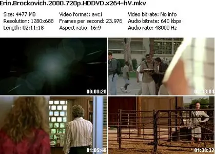 Erin Brockovich (2000)