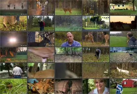 The Private Life of Deer (2013)