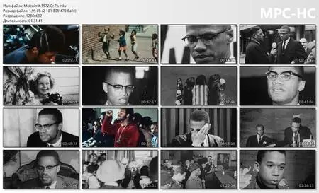 Malcolm X (1992) [The Criterion Collection]