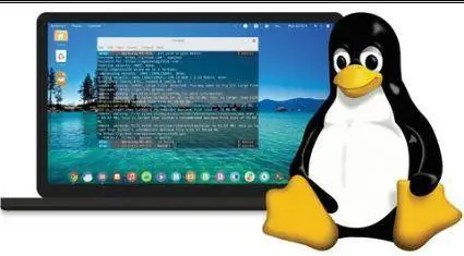 Basic Linux Commands for Beginners