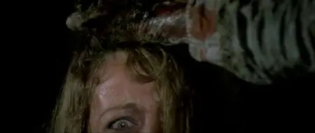 Zombie flesh eaters (1979)
