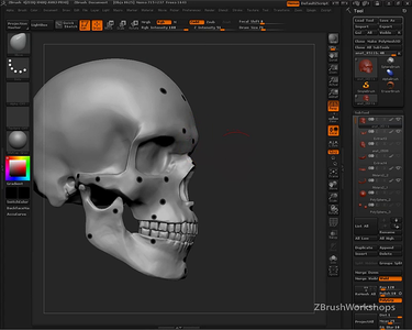 Anatomy of the Face for Artists (2011). [Repost]
