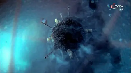 Our Secret Universe: The Hidden Life of the Cell (2012)