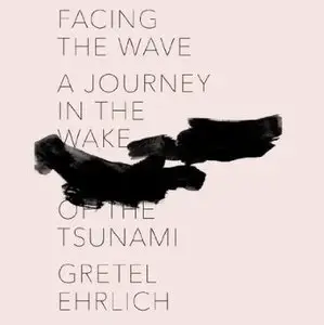Facing the Wave: A Journey in the Wake of the Tsunami (Audiobook)