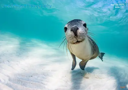 Underwater Photography - May-June 2023