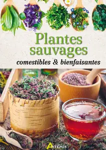 Collectif, "Plantes sauvages comestibles & bienfaisantes"